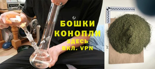 PSILOCYBIN Навашино